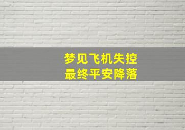 梦见飞机失控 最终平安降落